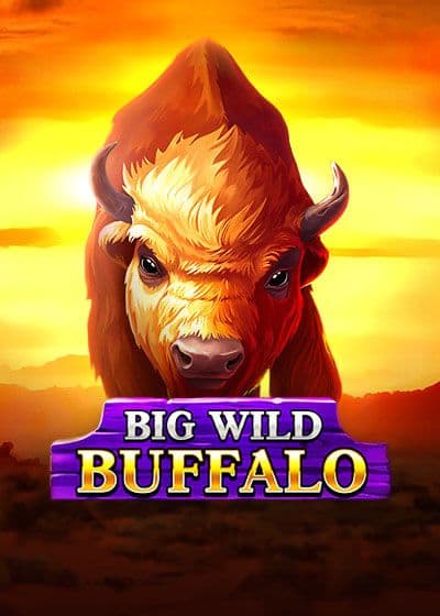 bigwildbuffalo
